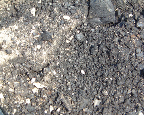 Close up burnt split peas from the burnt floor from a building located along Brock Street that burned to the ground in the Great Fire of April 17th 1840. Close up burnt split peas from the burnt floor from a building located along Brock Street that burned to the ground in the Great Fire of April 17th 1840..