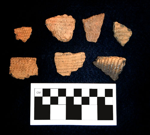 Decorated rim and body sherds of Middle Woodland pottery from Belle Island.