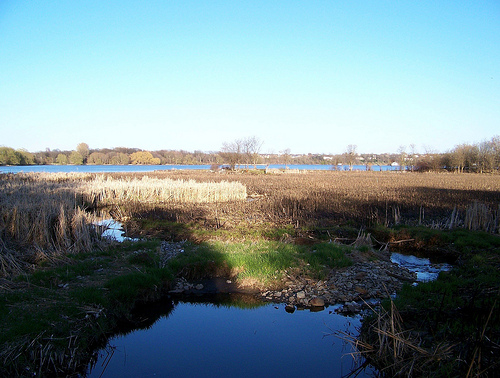 Current view of Belle Island looking towards the Cataraqui River. Current view of Belle Island looking towards the Cataraqui River.